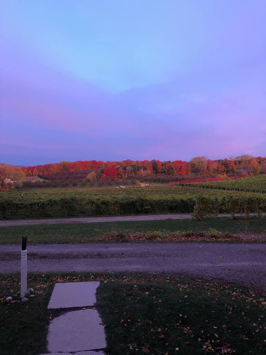 Winery «Good Harbor Vineyards», reviews and photos, 34 S Manitou Trail, Lake Leelanau, MI 49653, USA