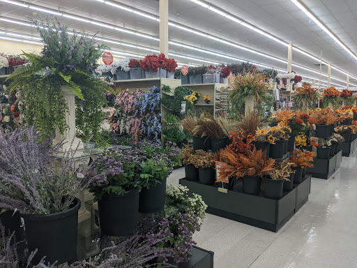 Craft Store «Hobby Lobby», reviews and photos, 800 Hover St, Longmont, CO 80501, USA