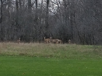 Lorain County Metro Parks High Meadows Shelter #1