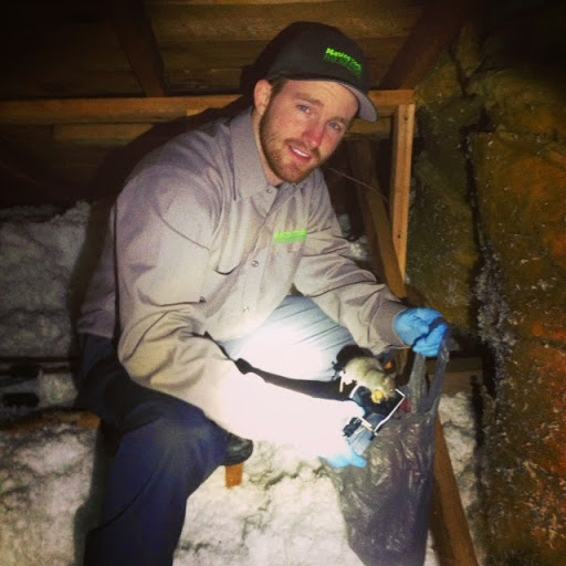 Pest Control Service «MasterTech Pest Solutions LLC», reviews and photos