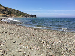 Kumlu Deniz Beach'in fotoğrafı vahşi alan