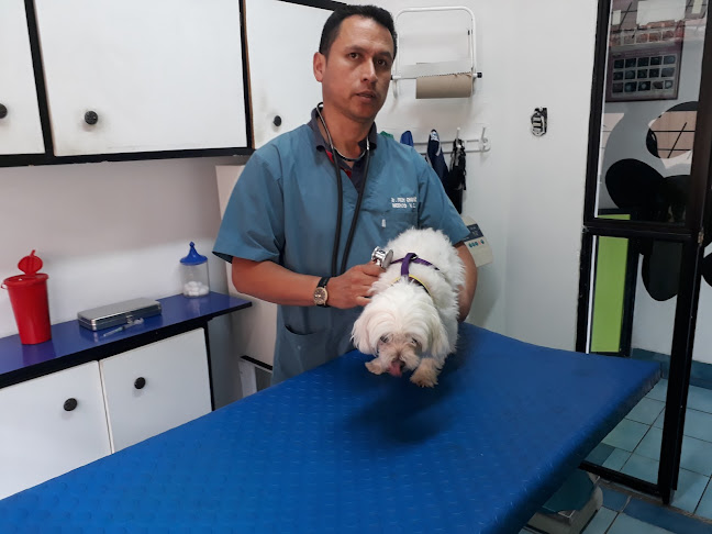 Clinica veterinaria huellitas - Veterinario