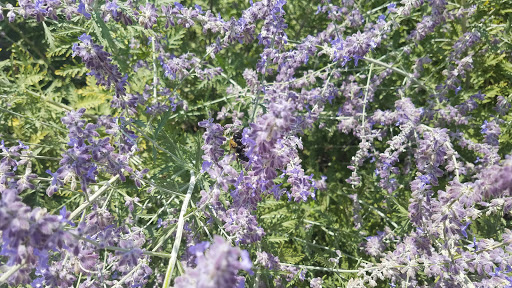 Picnic Ground «Gateway Island», reviews and photos, 1875 W College St, Murfreesboro, TN 37129, USA