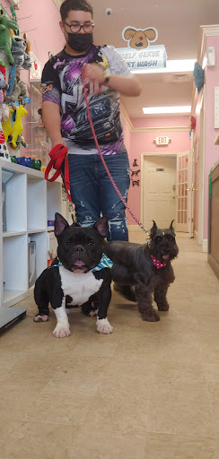 Pet Groomer «Furry Tails Pet Grooming», reviews and photos, 865 Cypress Pkwy, Poinciana, FL 34759, USA