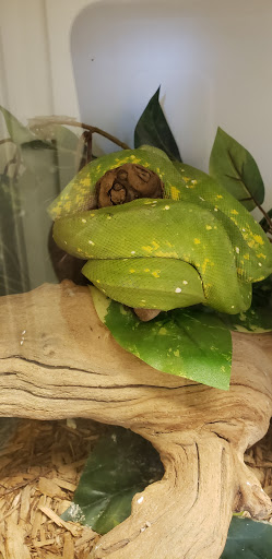 Tropical Fish Store «Harris In Wonderland», reviews and photos, 12 W Main St, Avon, CT 06001, USA