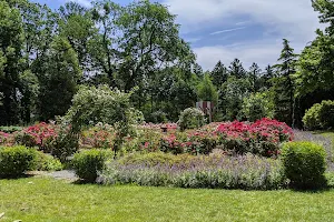 Clark Botanic Gardens image