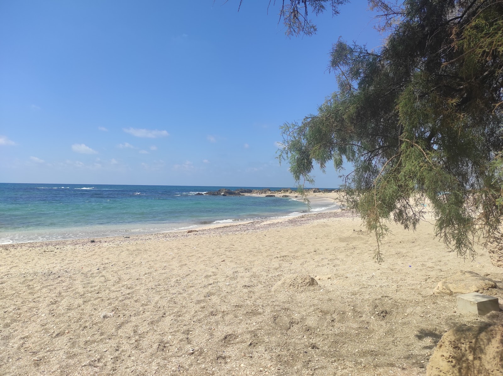 Foto di Nachsholim Beach con una superficie del sabbia beige