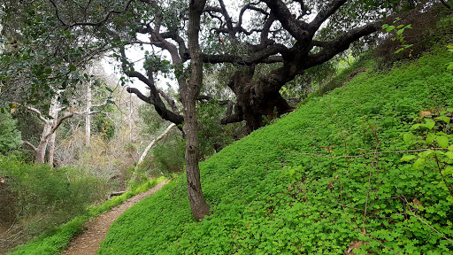 Park «Cuesta Park», reviews and photos, 2400 Loomis St, San Luis Obispo, CA 93405, USA