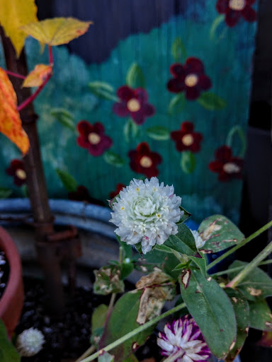 Antique Furniture Store «Hip and Humble», reviews and photos, 401 E Main St, Berryville, VA 22611, USA