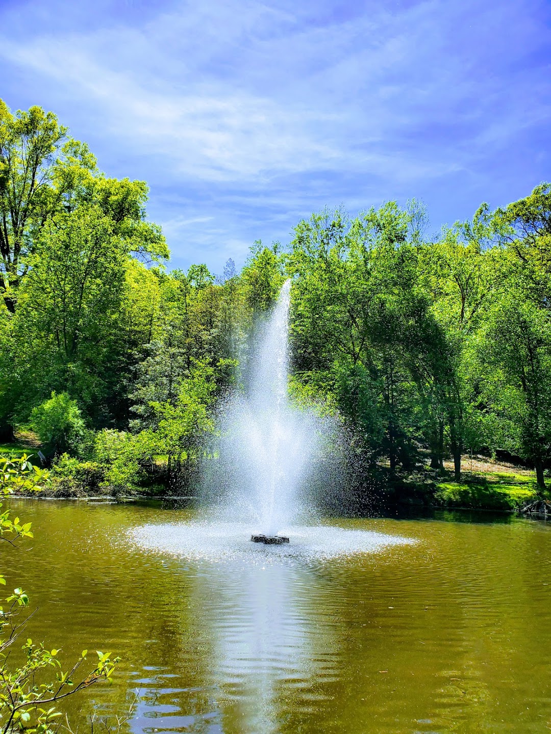 Laurelwood Arboretum