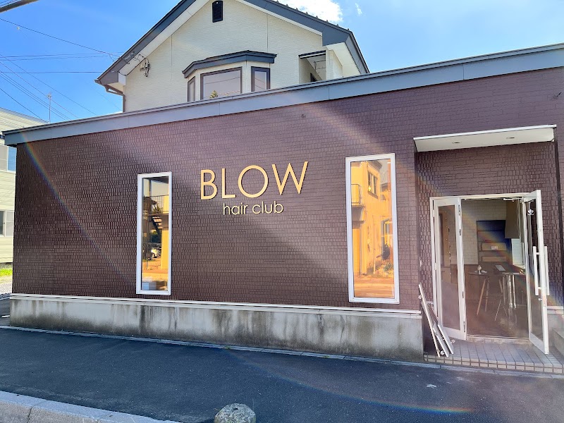 BLOW hair club