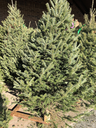 Supermarket «Save More Marketplace», reviews and photos, 8522 US-51, Minocqua, WI 54548, USA