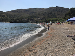 Foto di Cala Montjoi e l'insediamento