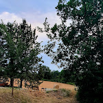 Photo n°21 de l'avis de Ketty.a fait le 03/07/2022 à 08:16 sur le  Agriturismo I filari à Cesena