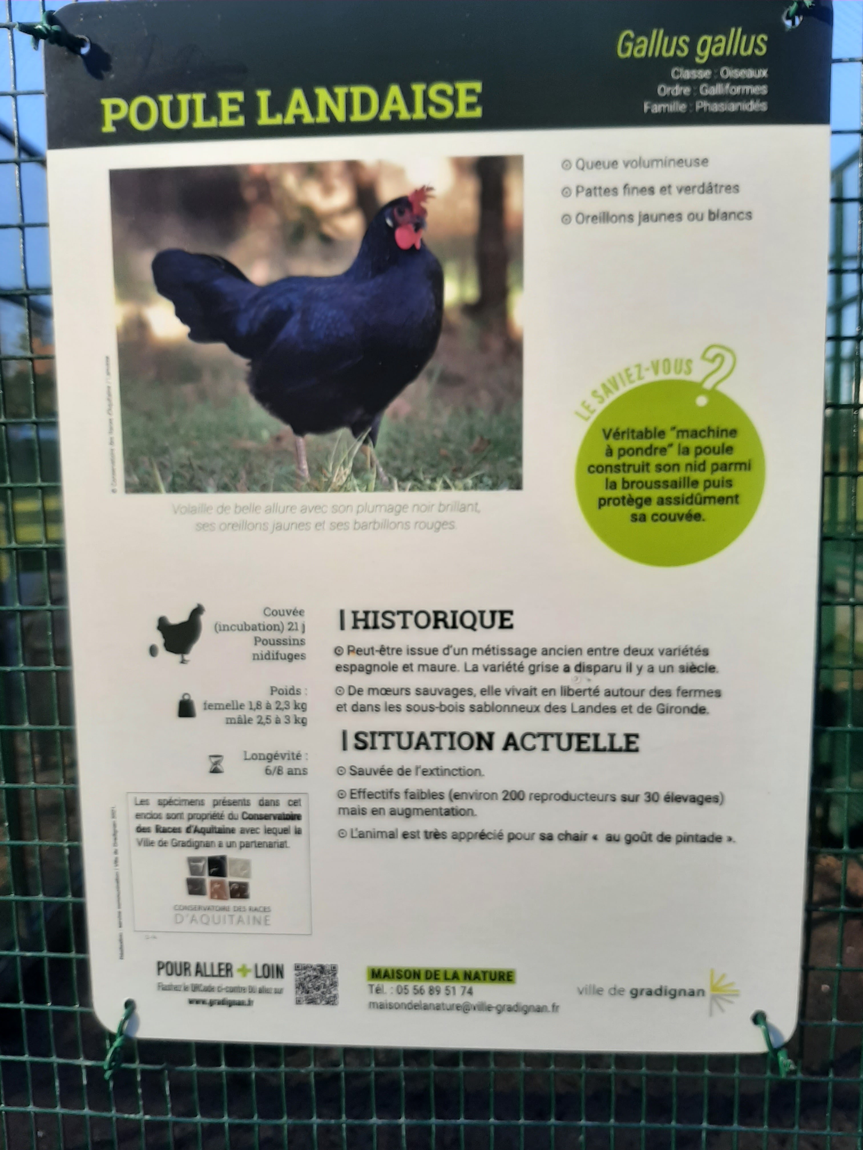 Photo n° 2 de l'avis de Poirot.i fait le 06/02/2022 à 20:17