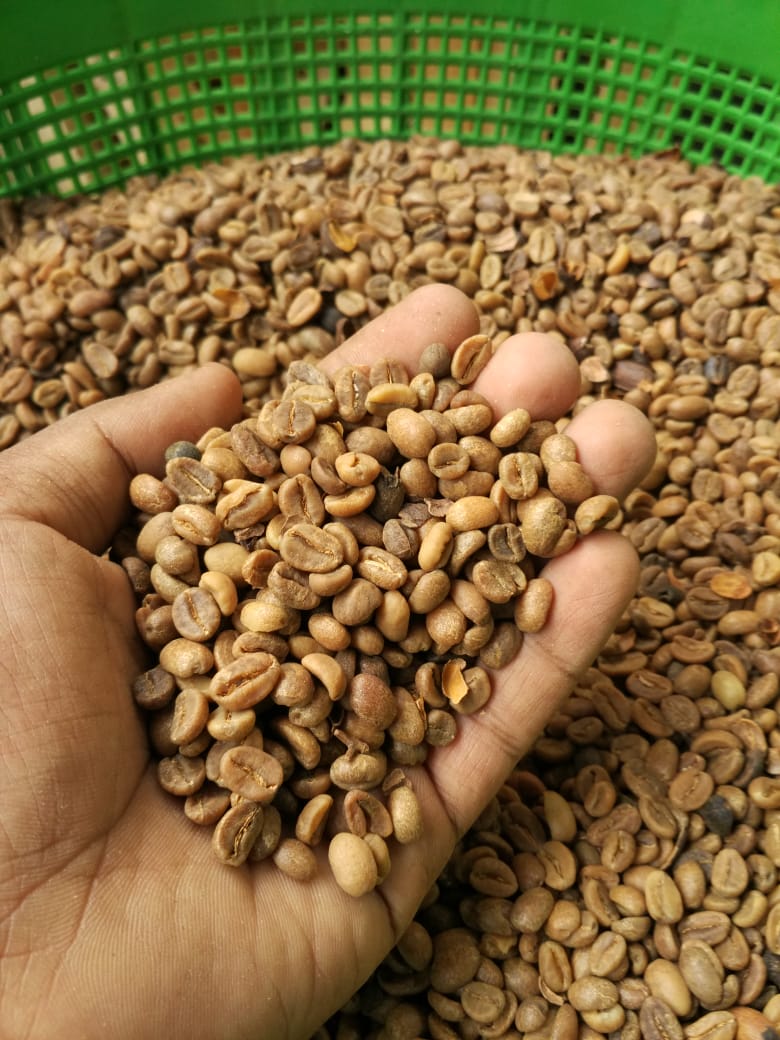 Gambar Mirza Coffee Supplierindo
