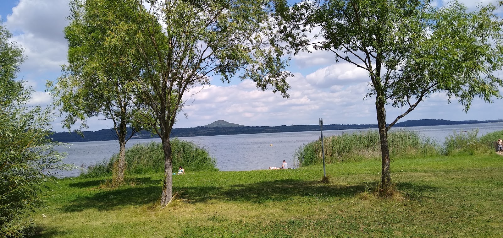 Foto von Badewiese Halbinsel Beach mit gras Oberfläche