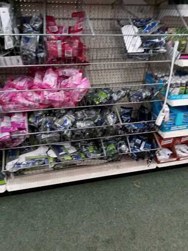 Dollar Store «Dollar Tree», reviews and photos, 11236 S Saginaw St A, Grand Blanc, MI 48439, USA