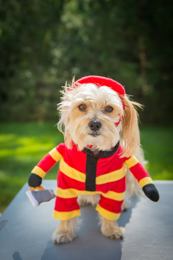 Auto Insurance Agency «Melanie Schelling - State Farm Insurance Agent», reviews and photos