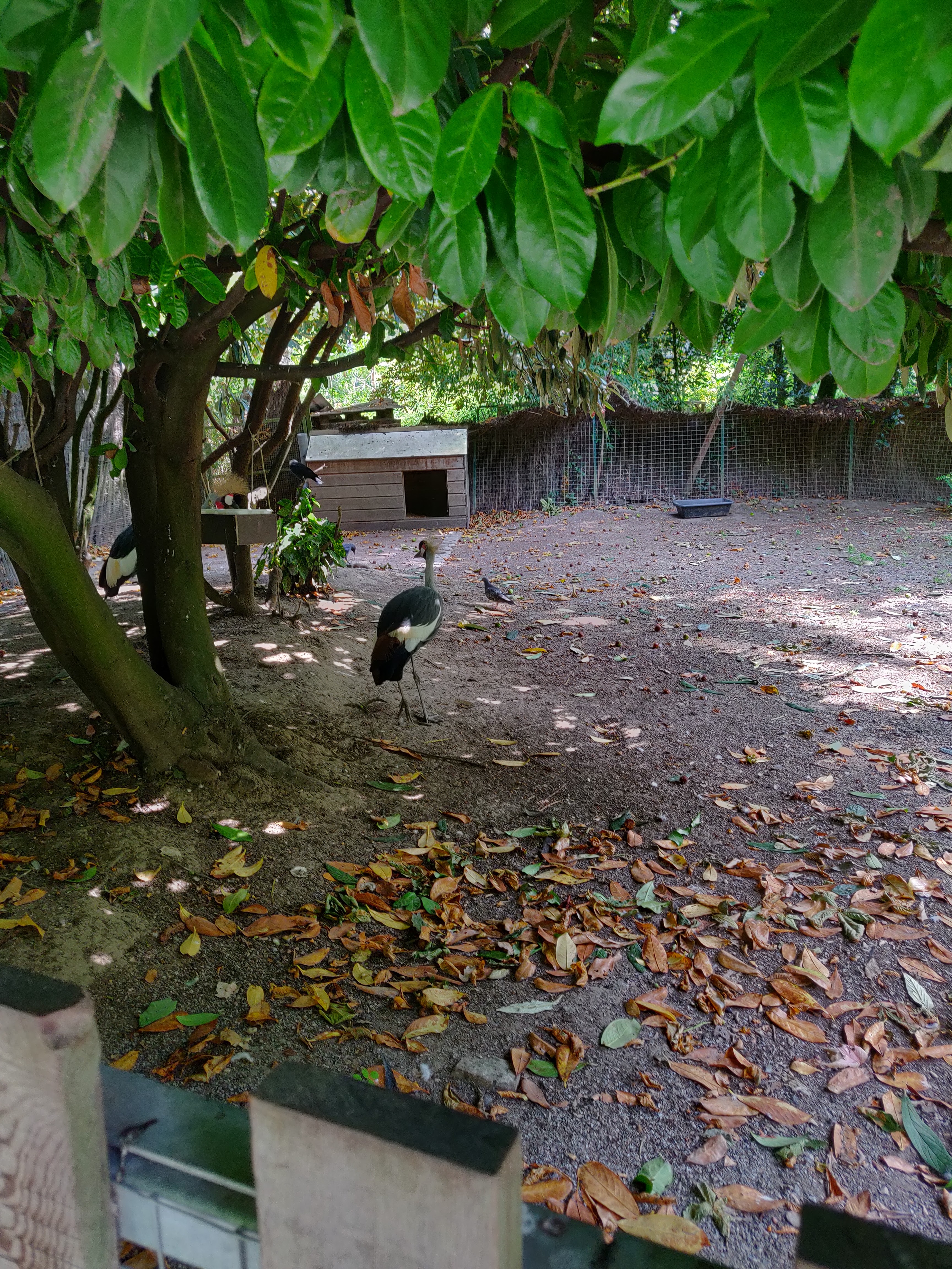 Photo n° 30 de l'avis de Amélie.e fait le 31/08/2019 à 17:39