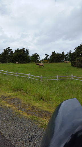 Golf Course «Highlands Golf Club», reviews and photos, 33260 Highlands Ln, Seaside, OR 97138, USA