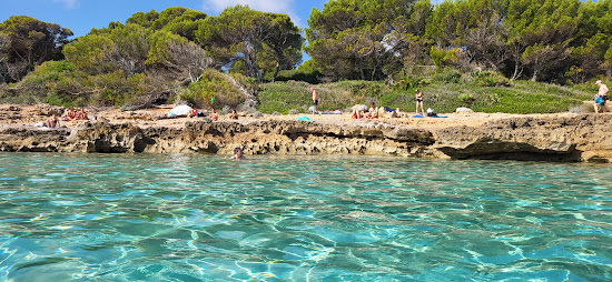 Platja de Ses Cavasses