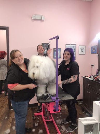 Pet Groomer «Woof Gang Bakery & Grooming, The Villages», reviews and photos, 3682 Meggison Rd, The Villages, FL 32163, USA