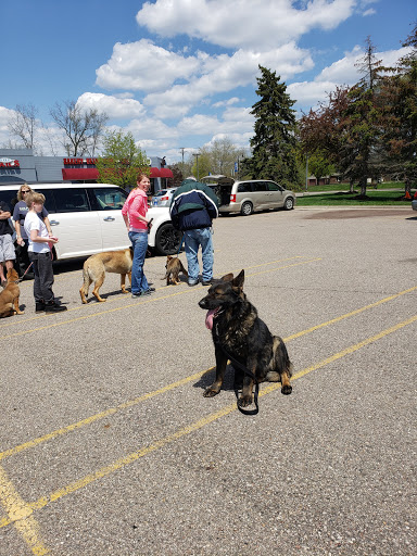 Pet Store «Feed Rite Pet Shop & Supply», reviews and photos, 11760 Belleville Rd, Belleville, MI 48111, USA