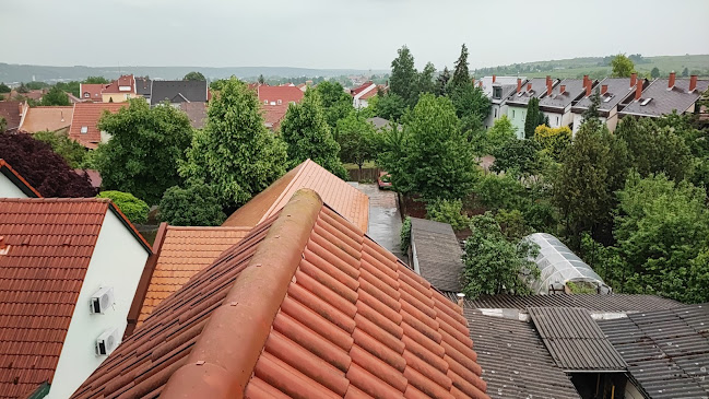 Bacchus Panzió - Eger