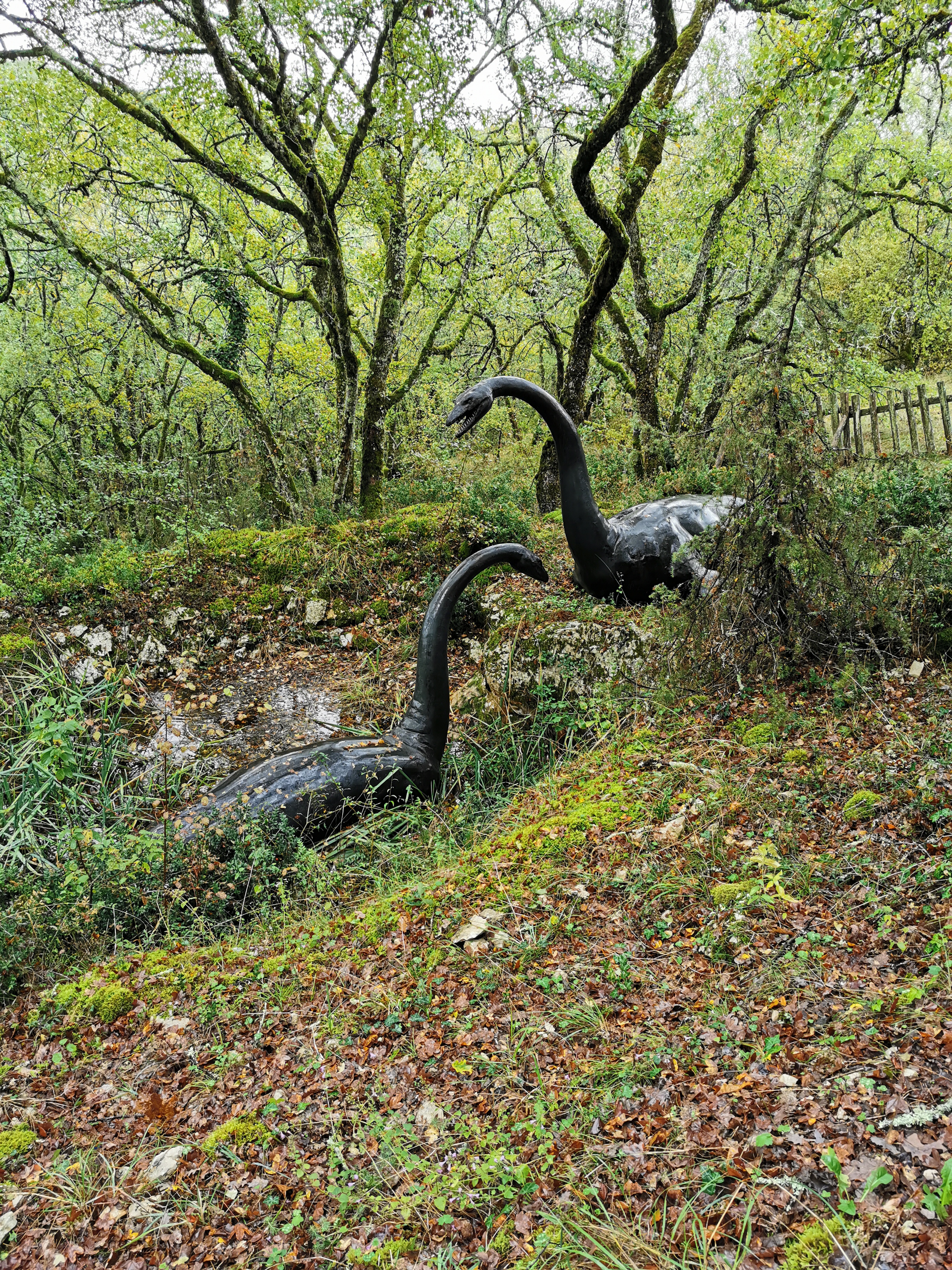 Photo n° 9 de l'avis de pascal. fait le 23/10/2019 à 14:57