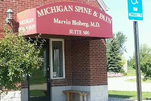 Michigan Spine and Pain image