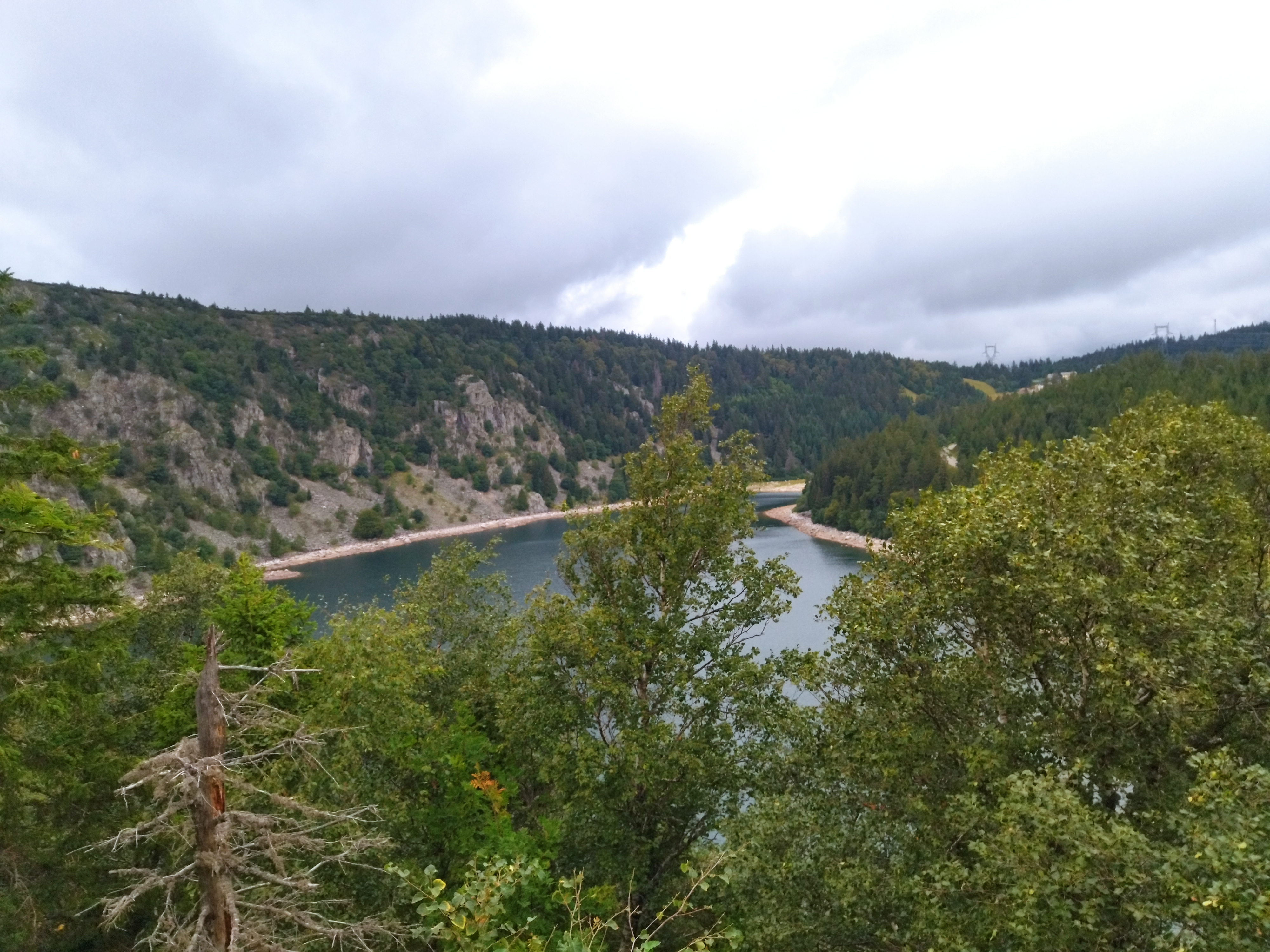 Photo n° 4 de l'avis de MM.u fait le 27/08/2023 à 14:16