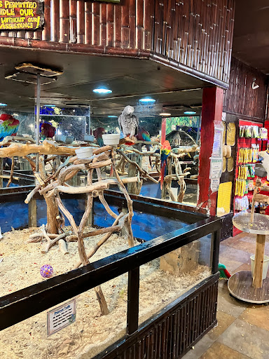 Pet Store «Pet Kingdom», reviews and photos, 4650 S Cleveland Ave, Fort Myers, FL 33907, USA