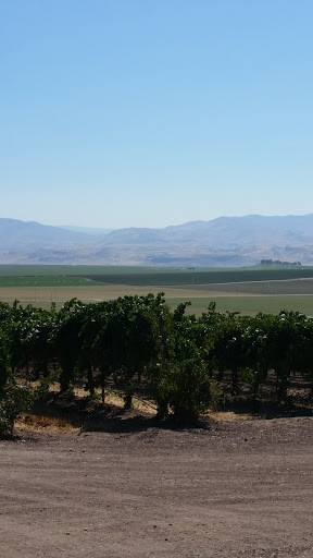 Winery «Sawtooth Winery», reviews and photos, 13750 Surrey Ln, Nampa, ID 83686, USA