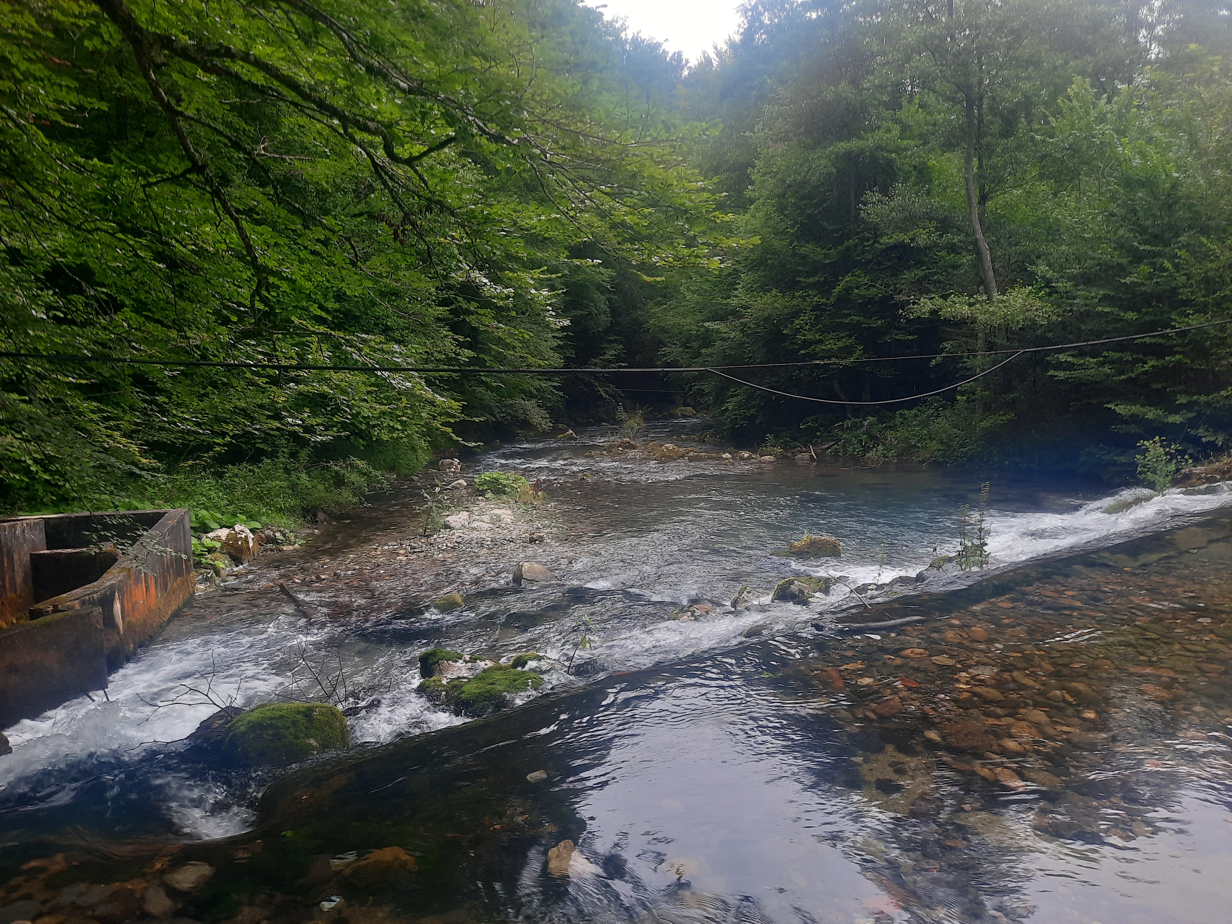 Photo n° 40 de l'avis de DIMA.A fait le 15/08/2021 à 16:23