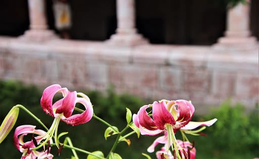 Art Museum «The Cloisters», reviews and photos, 99 Margaret Corbin Dr, New York, NY 10040, USA