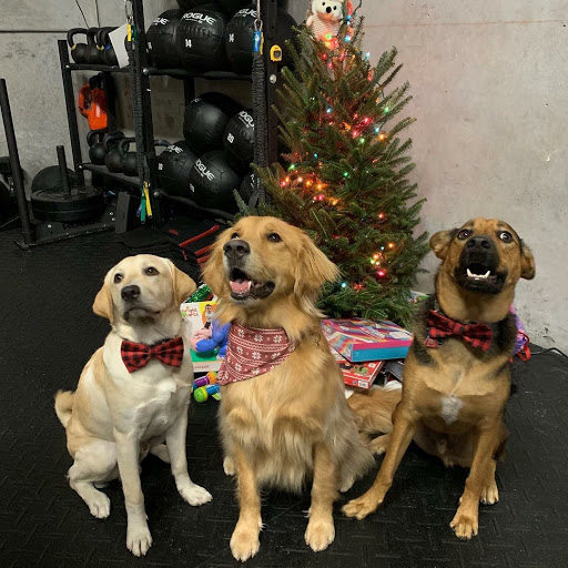 Physical Fitness Program «Aspire Sports Lab and ASL Crossfit», reviews and photos, 1063 NE 46th Ct, Oakland Park, FL 33334, USA