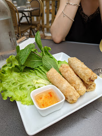 Rouleau de printemps du Restaurant vietnamien Saigon Gourmet à Lyon - n°17