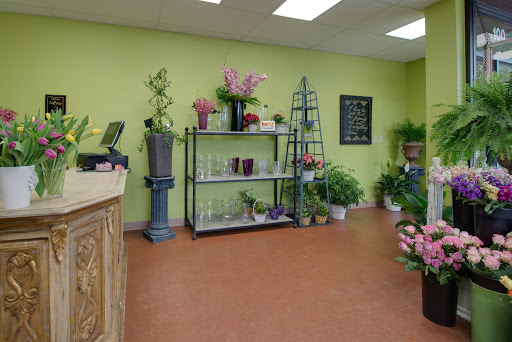 Florist «Floral Concepts», reviews and photos, 4950 Keller Springs Rd Ste. 100, Addison, TX 75001, USA