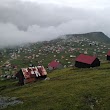 Sis dağı Eynesil Obası / Giresun