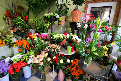 Osiris Fleurs à Reims