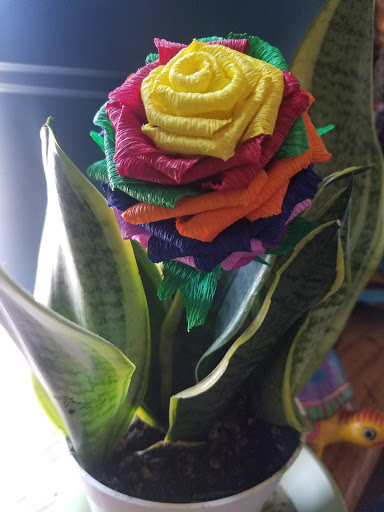 Discount Store «Fallas Paredes Discount Stores», reviews and photos, 5461 N Figueroa St, Highland Park, CA 90270, USA