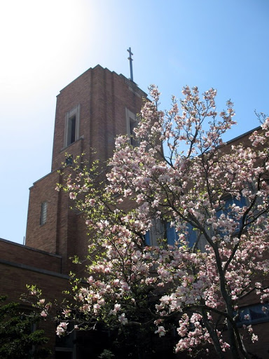 Académie Ste-Cécile International School