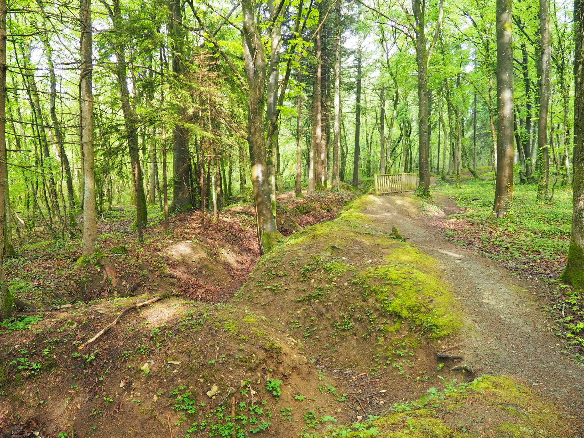 Photo n° 2 de l'avis de M.a fait le 17/05/2019 à 14:33