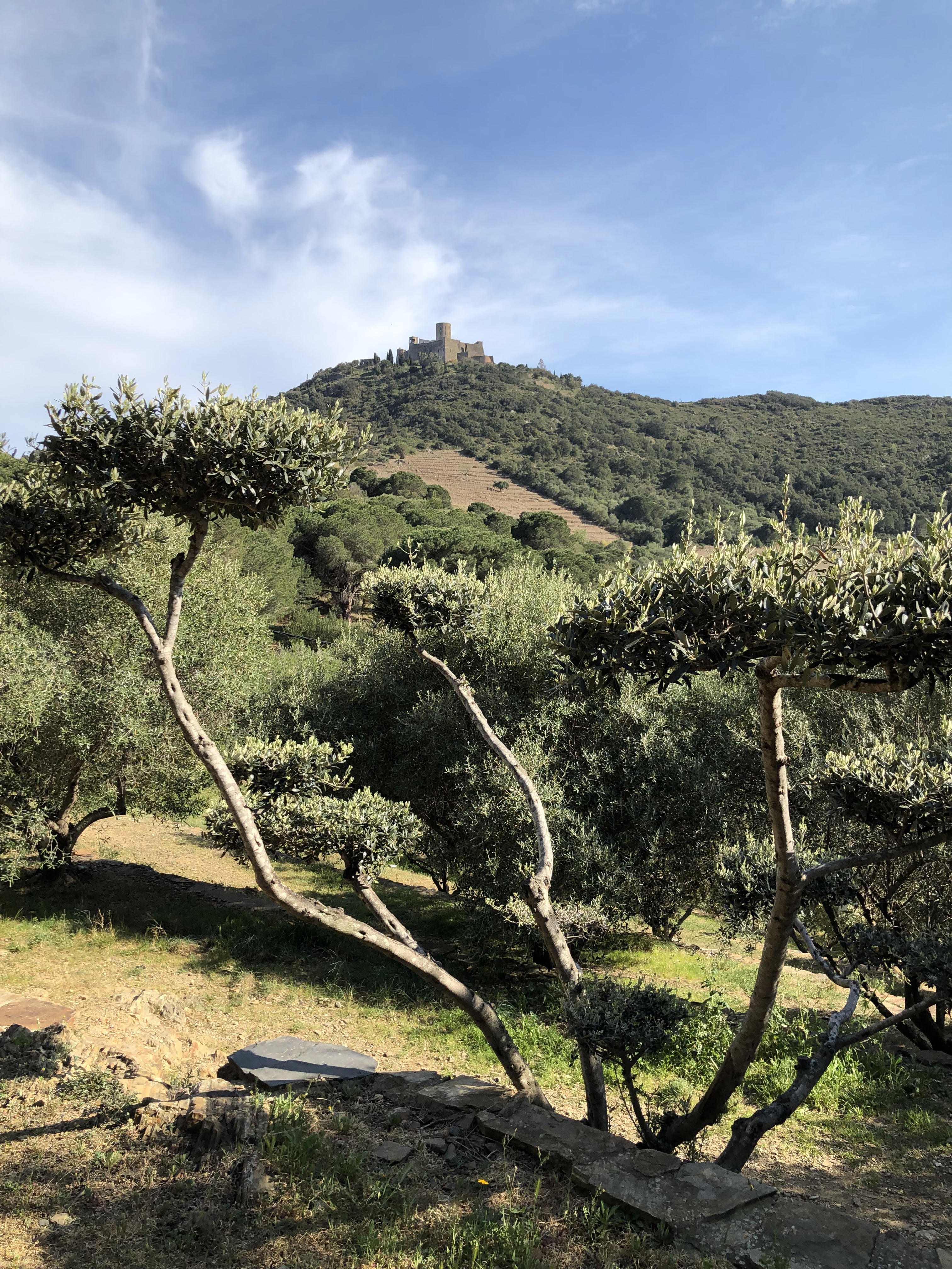 Photo n° 2 de l'avis de Remy.a fait le 03/04/2019 à 20:32