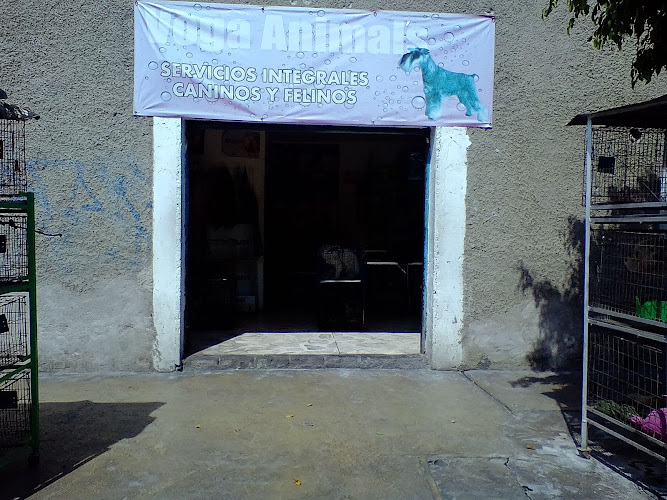Foto de Tienda de mascotas en Nezahualcóyotl, Estado de México