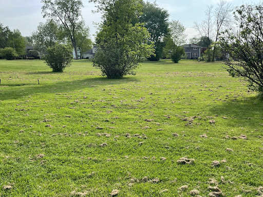 Golf Course «Brighton Park Golf Course», reviews and photos, 70 Brompton Rd, Tonawanda, NY 14150, USA