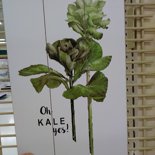 Fabric Store «Jo-Ann Fabrics and Crafts», reviews and photos, 11215 Causeway Blvd, Brandon, FL 33511, USA