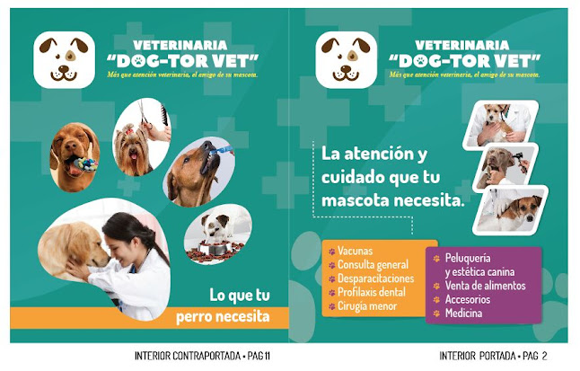 Veterinaria Dog-tor Vet - Veterinario