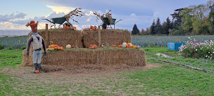 Photo n°3 de Cueillette de Saint-Gratien à Saint-Gratien ()